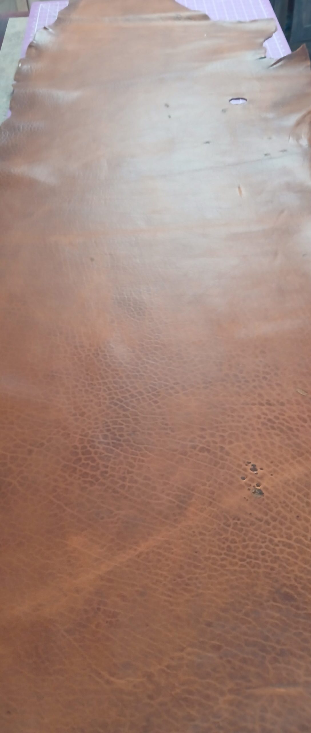 Seidel Bison Sides Hillbilly Peanut