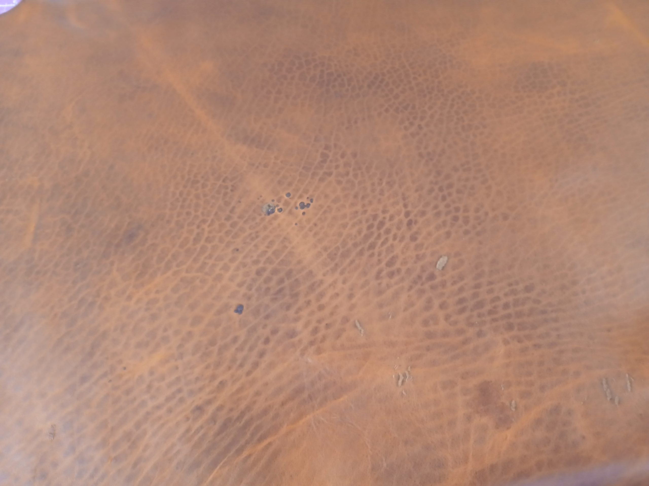 Seidel Bison Sides Hillbilly Peanut - Image 2