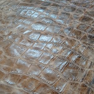 MONSTER CROC SIERRA FAWN 2/3 OZ QUARTER