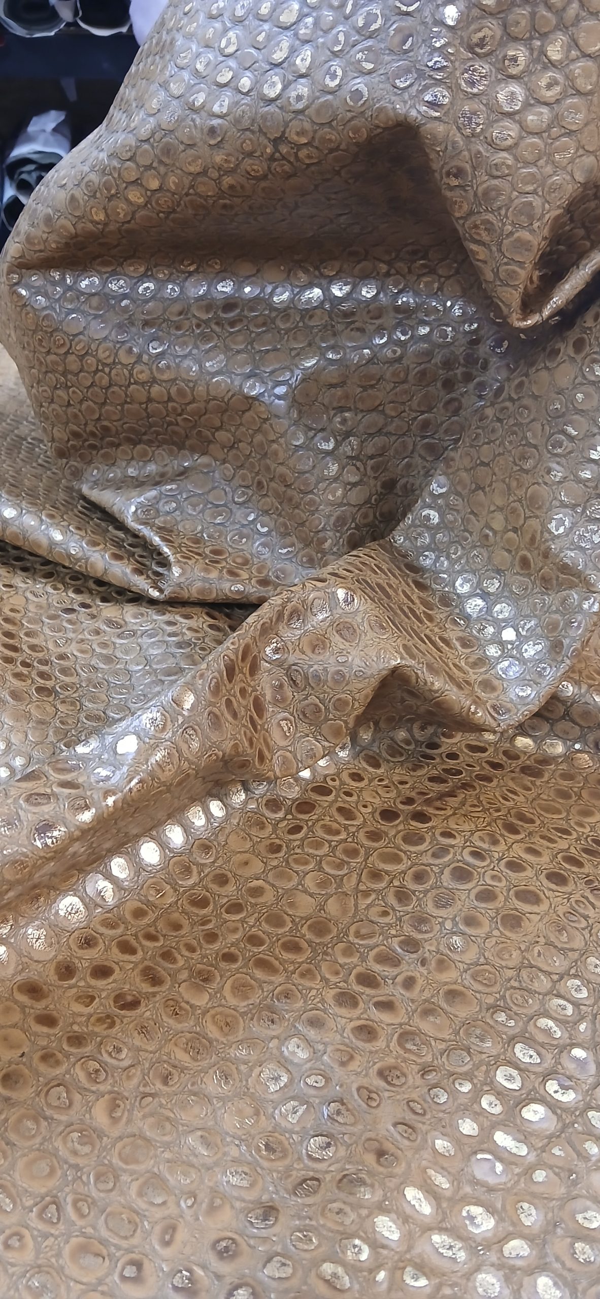 EGYPTIAN NILE CROC EMBOSSED QUARTER 2/3 OZ 10-12FT