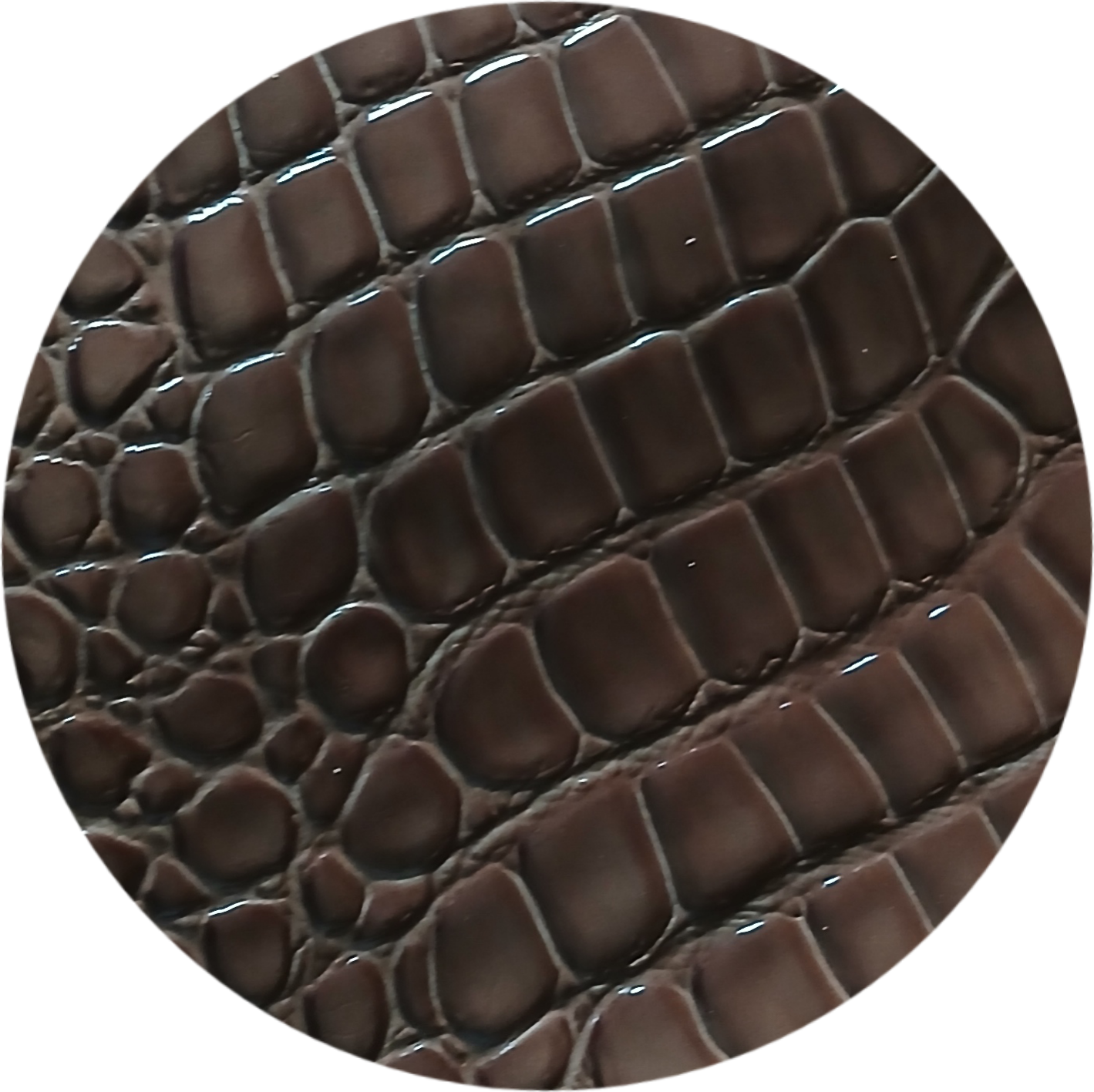 TOASTED TORTOISE CROC ITALIAN CALF SIDE 2 OZ