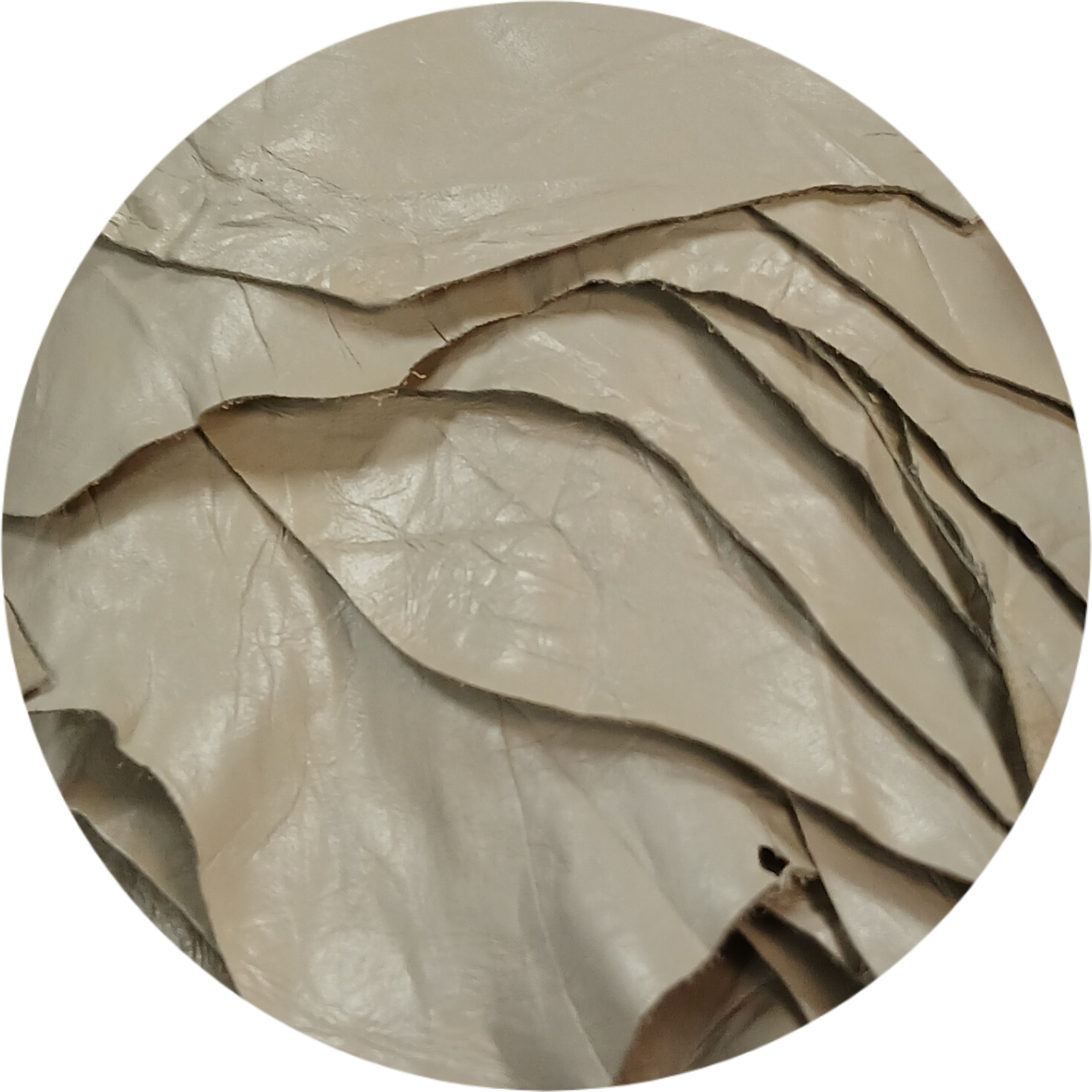 ITALIAN THIN CALF TORTILLA NAPLAK 1 OZ 7-8FT