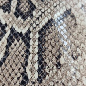 iTALIAN PYTHON SNAKE EMBOSSED SIDE